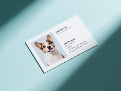 Pet Card